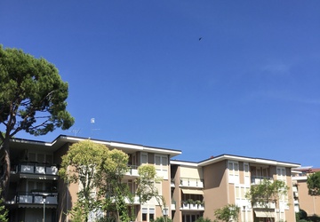 properties-1